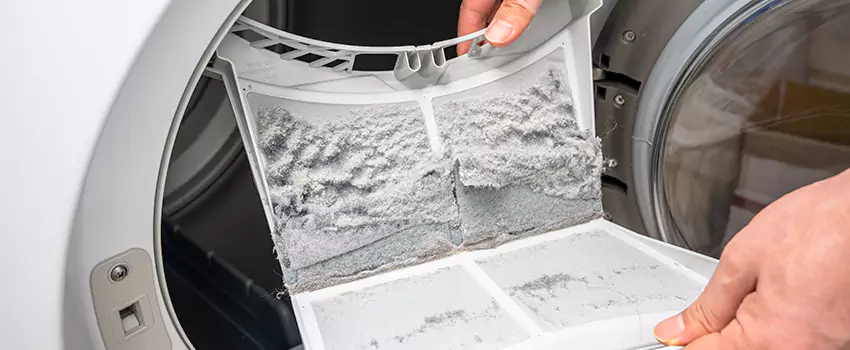 Best Dryer Lint Removal Company in Linda, California