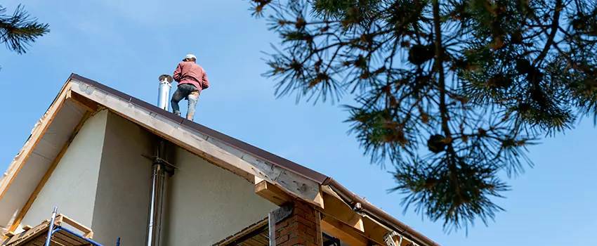 Birds Removal Contractors from Chimney in Linda, CA